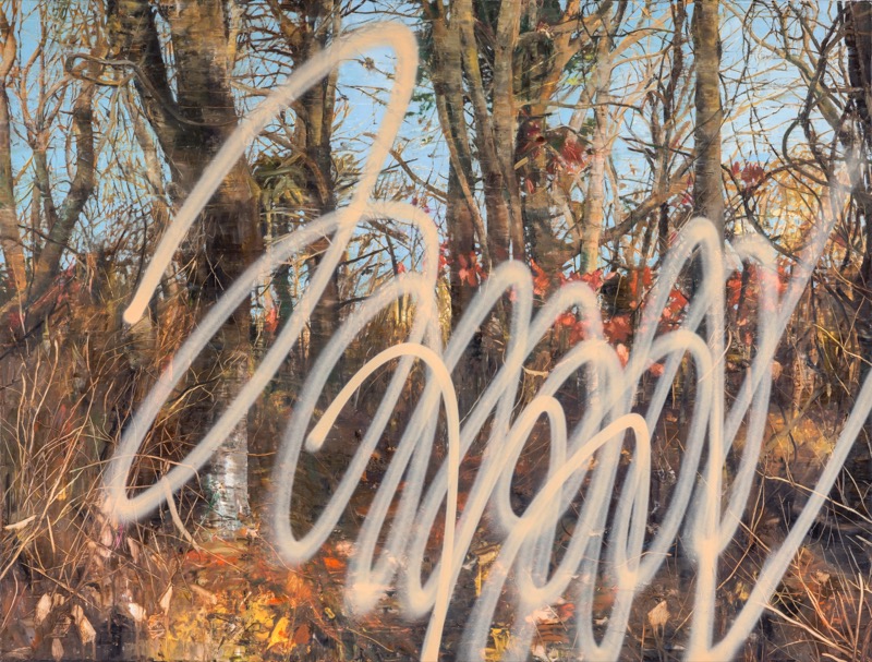 Untitled 27, 2017, oil and acrylic spray on canvas, 130×170cm