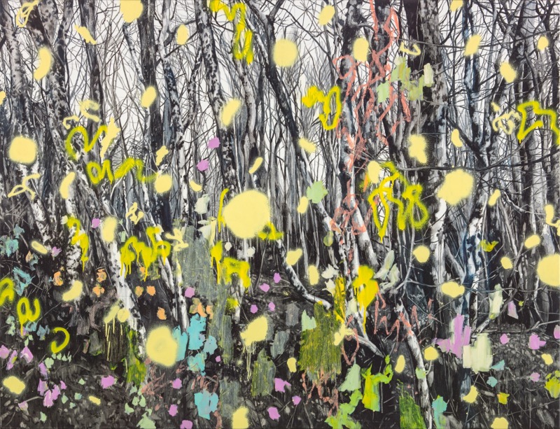 Untitled 30, 2017, oil and acrylic spray on canvas, 130×170cm