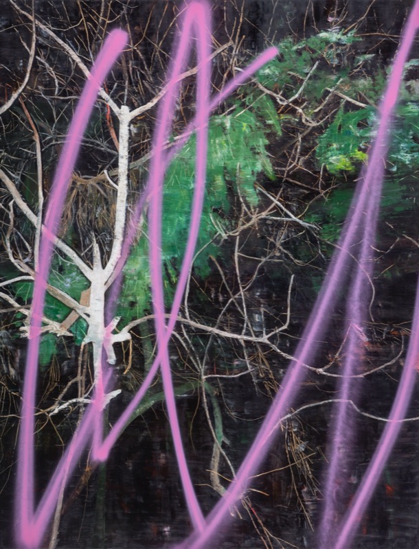 Untitled 6, 2016, oil and acrylic spray on canvas, 170×130cm