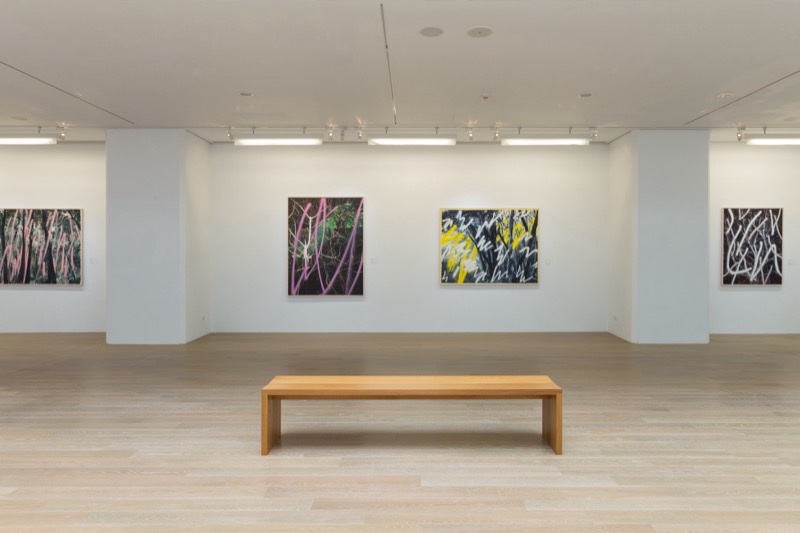 Exhibition view, Accomplishing a Forest, 2017