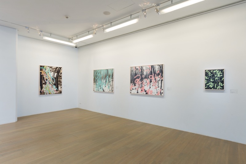Exhibition view, Accomplishing a Forest, 2017