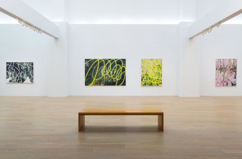 Exhibition view, Accomplishing a Forest, 2017
