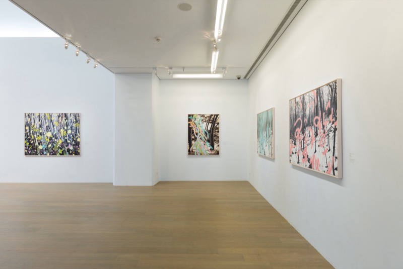 Exhibition view, Accomplishing a Forest, 2017